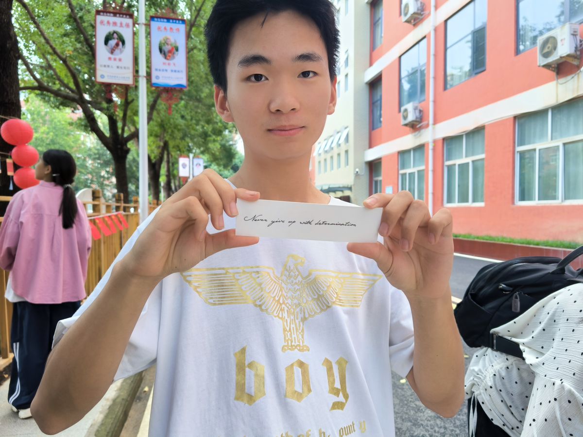 导入图片