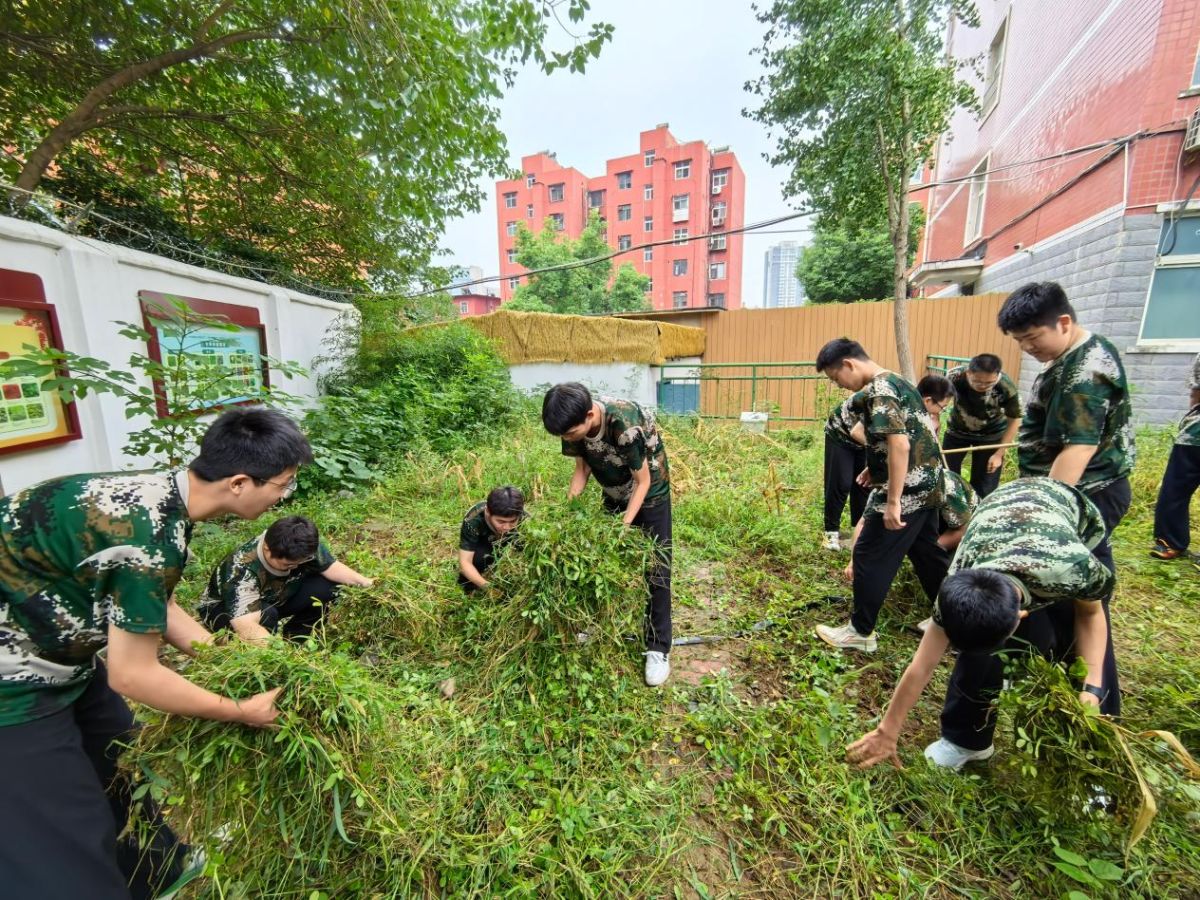 导入图片