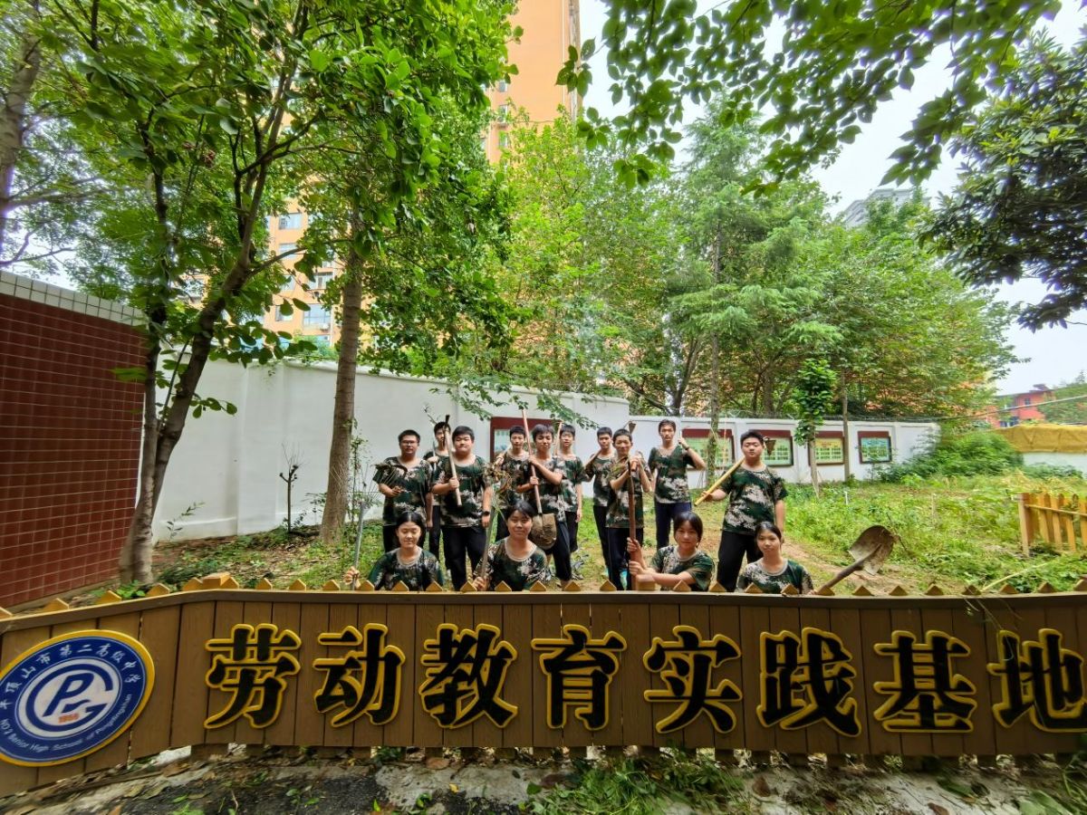 导入图片