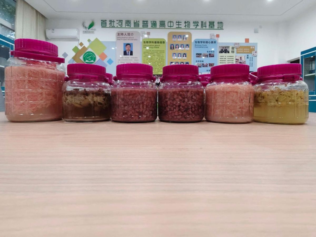 导入图片