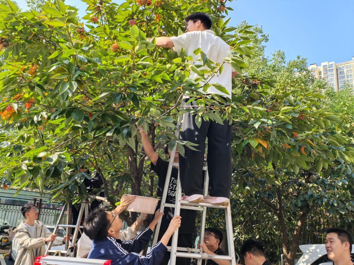 导入图片