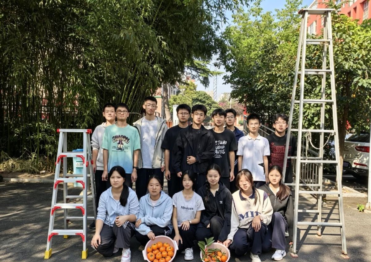 导入图片
