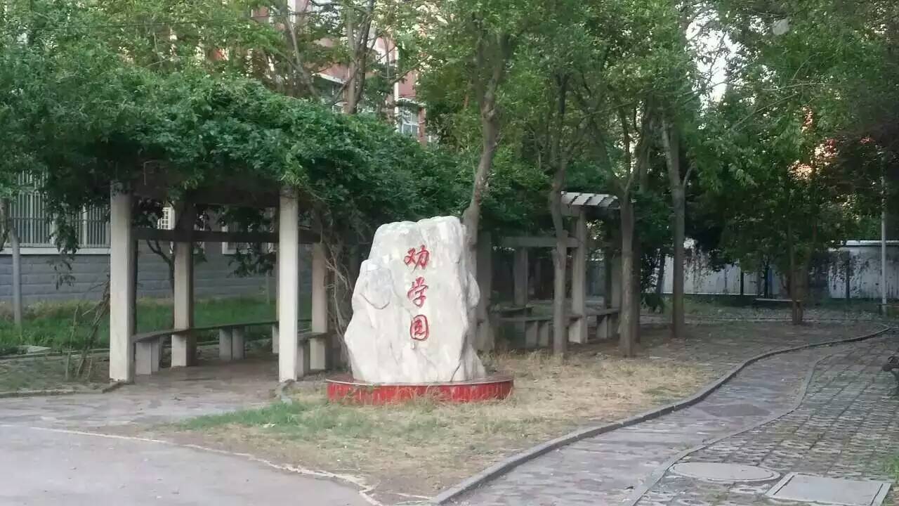 2016年春雨后清新的校园组图之五