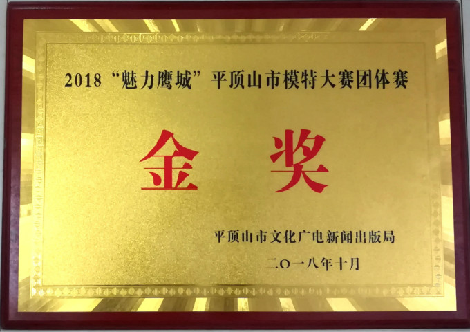 市二高喜获“魅力鹰城”模特大赛团体金奖