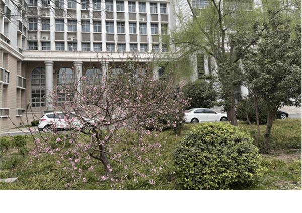 永不停歇，静心守候 ——河南师范大学省级名师培训心得|许昌实验中学  陈亚琴
