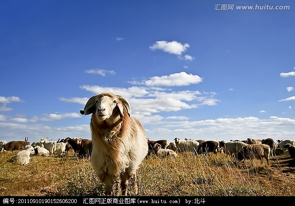 【宏照家教】真正优秀的人都自带“鸡血”