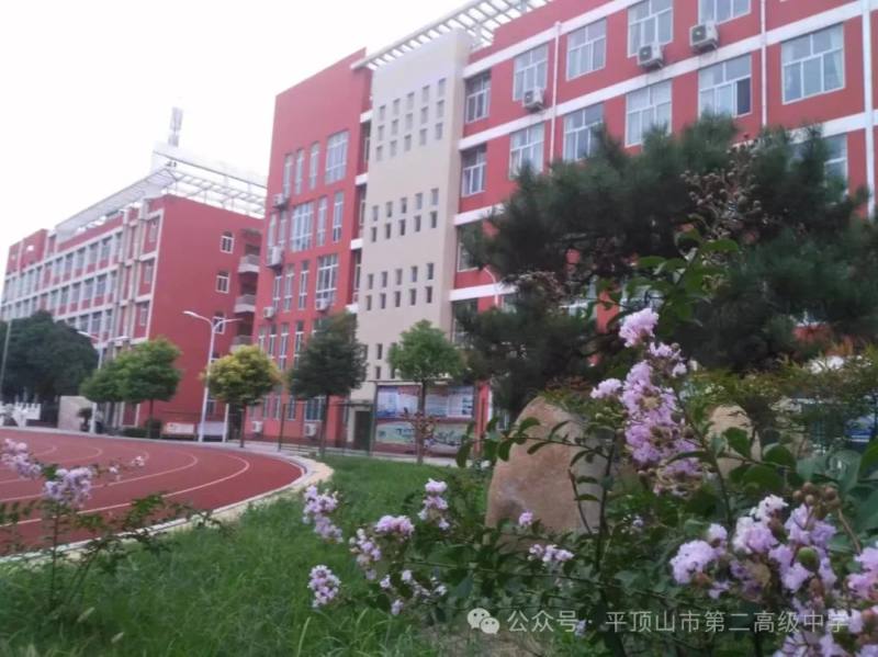 平顶山市二高2024级高一新生请拿好——学习宝典（二）物化生篇