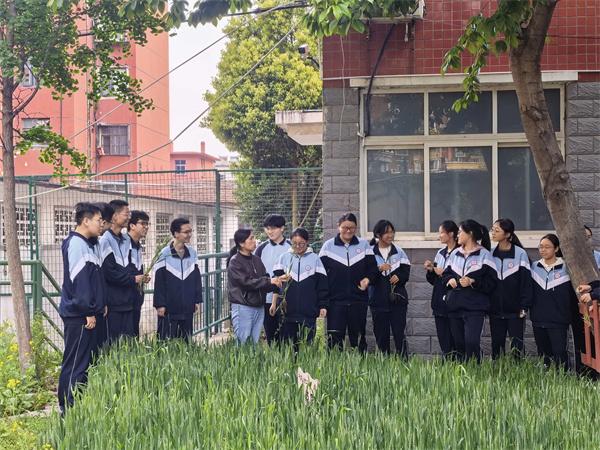 识草木芳华 探生命奥秘 ——平顶山市二高生物学科月系列活动之校园植物辨认