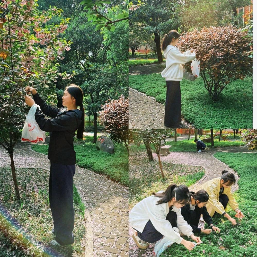 拓染自然，探秘生物 ——平顶山市二高百草园生物社开展“植物拓染”主题社团活动